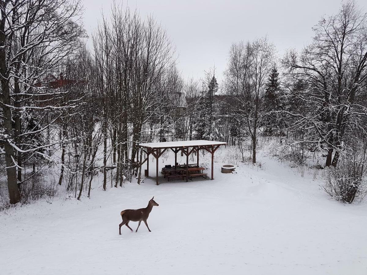 Lodge Valeria *